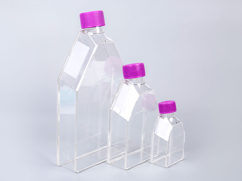 Cell culture flasks